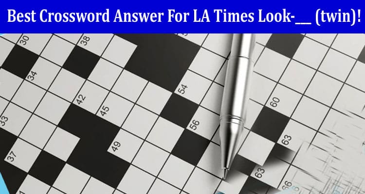 Top Best Crossword Answer For LA Times Look-___ (twin)!