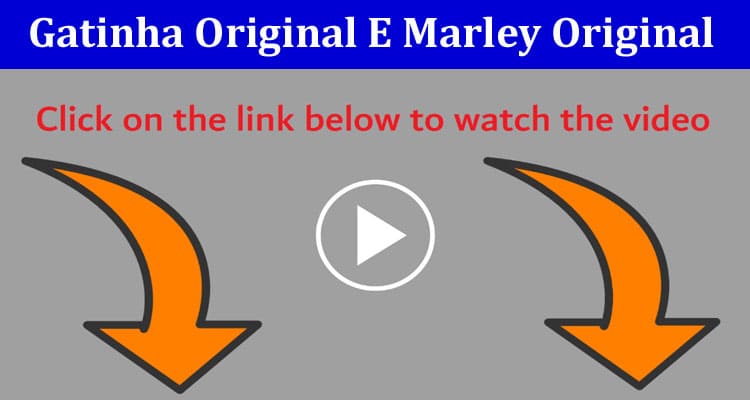 Latest News Gatinha Original E Marley Original 2024